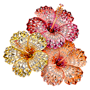 Hibiscus Flowers