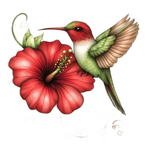 Humming Bird