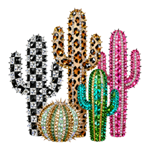 Western Cactus 5