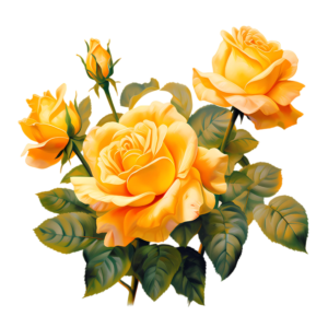 Yellow Roses