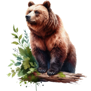 Bear 4