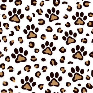 Leopard Paw Print