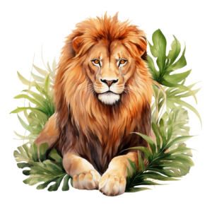 Lion 2
