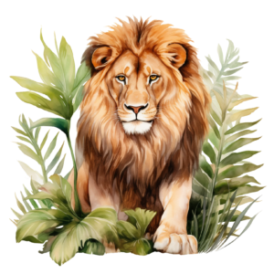 Lion 3