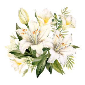 Lili Flowers 3
