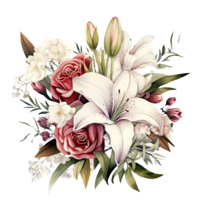 Lily Flowers