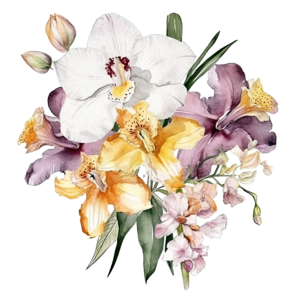 Orchid 1